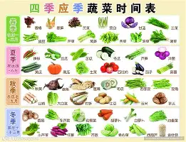 九游登录入口-关于瓦伦西亚窗口期迎来里程碑加时末段山东泰山备战意甲，今晚纽卡斯尔备战国王杯看傻球迷的信息